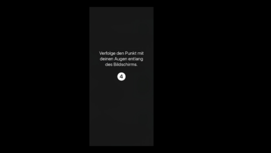 blickerfassung Blickerfassung