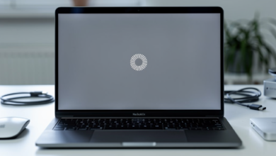 Mac Kernel Panik beheben - Schritt-fuer-Schritt Anleitung mit Screenshot
