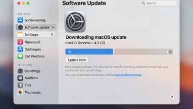 macOS Animationen deaktivieren schneller machen - Schritt-fuer-Schritt Anleitung mit Screenshot